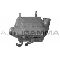 107917 AUTOGAMMA Интеркулер