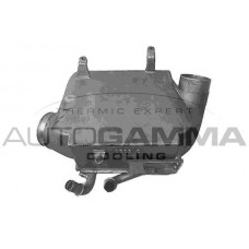 107917 AUTOGAMMA Интеркулер