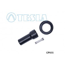 CP055 TESLA Вилка, Свічка запалювання