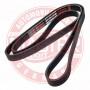 6PK1755-PCS-MS MASTER-SPORT GERMANY Поліклиновий ремінь