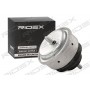 247E0058 RIDEX Підвіска двигун