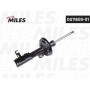 DG1160901 MILES Амортизатор