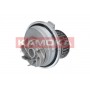 T0229 KAMOKA Водяний насос охолодження двигуна