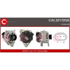 CAL32172GS CASCO Генератор