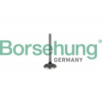 впускний клапан Borsehung B18998