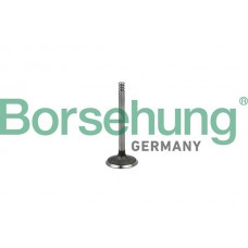 впускний клапан Borsehung B18998