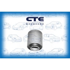 CBH06017 CTE Підвіска важіль незалежної підвіски колеса