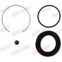 114-0290 QUICK BRAKE Ремкомплект, Гальмівний супорт