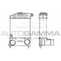 101896 AUTOGAMMA Интеркулер