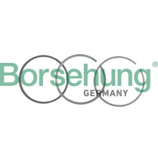 B19036 Borsehung Комплект поршневих кілець