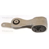 8505 10135 TRISCAN Підвіска двигун