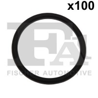 076.555.100 FA1 Ущільнювальне кільце, компрессор