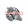 T0009 KAMOKA Водяний насос охолодження двигуна