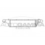 102018 AUTOGAMMA Интеркулер