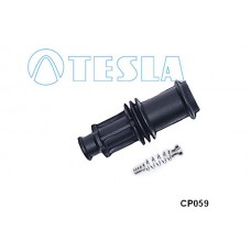 CP059 TESLA Вилка, Свічка запалювання