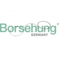 B10368 Borsehung Комплект поршневих кілець