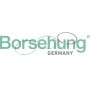 B10368 Borsehung Комплект поршневих кілець