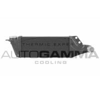 103747 AUTOGAMMA Интеркулер