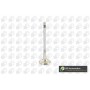 випускний клапан WILMINK GROUP WG1814459