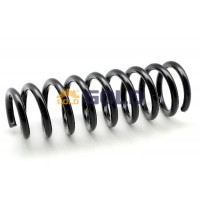 GZJ6367C JAPANPARTS Пружина ходової частини
