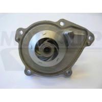 VWP923 MOTAQUIP Водяний насос охолодження двигуна