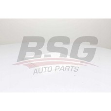 BSG 40-145-019 BSG Фільтр повітря у внутрішньому просторі