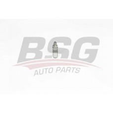BSG 40-122-028 BSG Толкатель
