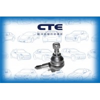CBJ21002 CTE Шарнір незалежної підвіски поворотного важеля