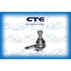 CBJ21002 CTE Шарнір незалежної підвіски поворотного важеля
