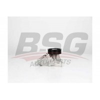 BSG 15-500-014 BSG Водяний насос охолодження двигуна