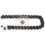 172523 FEBI BILSTEIN Ланцюг приводу розподільного валу