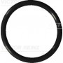 WG1243550 WILMINK GROUP Ущільнювальне кільце, Різьбова пробка маслосливн. отверст.