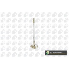 випускний клапан BGA V236820