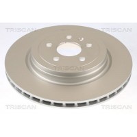 8120 81002C TRISCAN Гальмівний диск