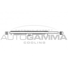 103768 AUTOGAMMA Интеркулер