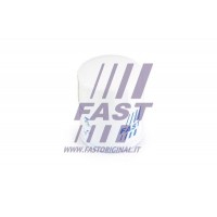 FT38027 FAST Масляний фільтр