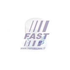 FT38027 FAST Масляний фільтр