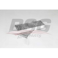BSG 70-145-019 BSG Фільтр повітря у внутрішньому просторі