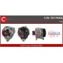 CAL10174AS CASCO Генератор