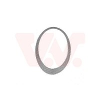 0502511 VAN WEZEL Рамка основна фара