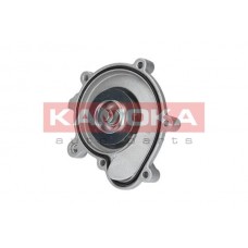 T0194 KAMOKA Водяний насос охолодження двигуна