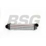 BSG 15-535-001 BSG Интеркулер