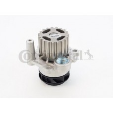 WP6040 CONTINENTAL CTAM Водяний насос охолодження двигуна