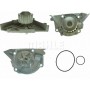 CP 442 000P MAHLE Водяний насос охолодження двигуна