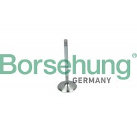 впускний клапан Borsehung B19018