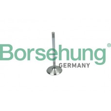 впускний клапан Borsehung B19018
