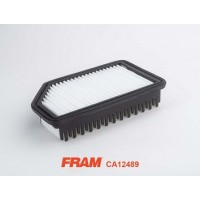 CA12489 FRAM Повітряний фільтр