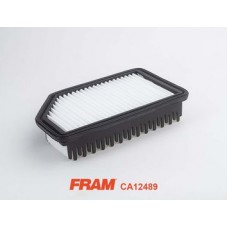 CA12489 FRAM Повітряний фільтр