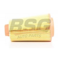 BSG 60-135-007 BSG Повітряний фільтр