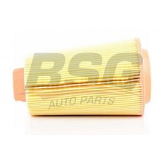 BSG 60-135-007 BSG Повітряний фільтр